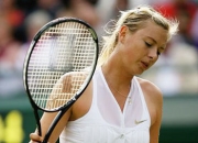 关于莎拉波娃爆冷击败曼联，突破纪录引爆全场！的信息